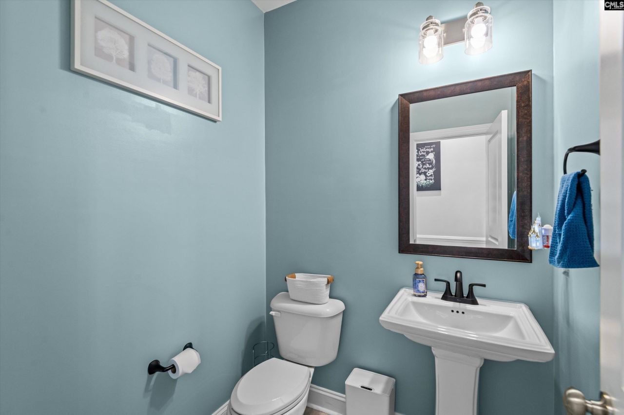 1176 Long Ridge Way  Photo 47