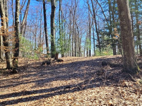 947 W Locust Street, White Cloud, MI 49349