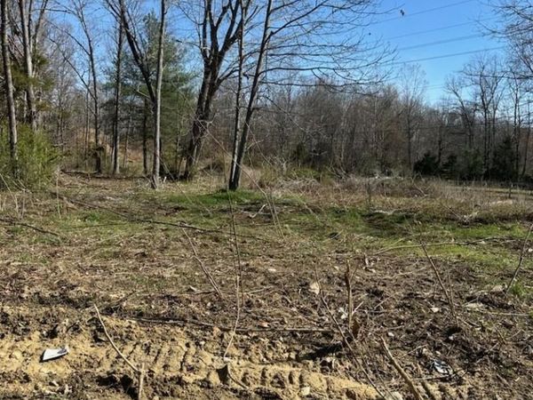 TBD CRIMORA MINE RD, CRIMORA, VA 24431