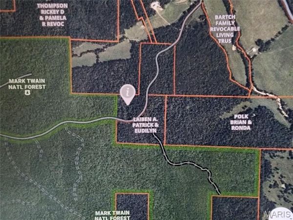 0 Wayne County Road 434 , Piedmont, MO 63957