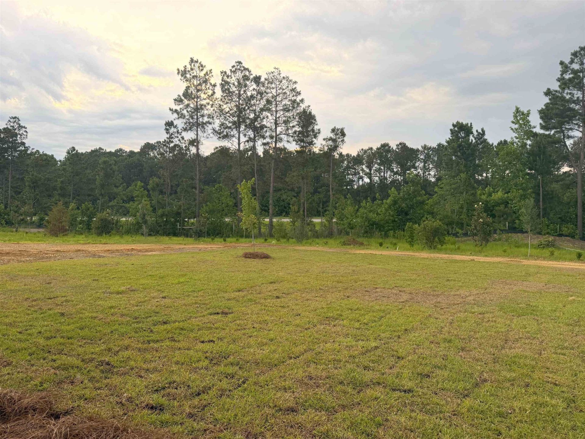174 Westfield Circle Photo 23