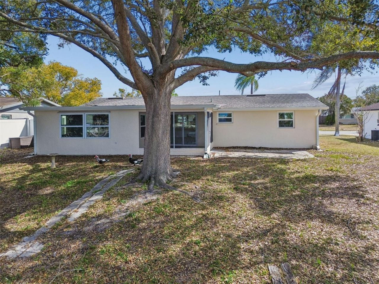 1147 Rushmore Drive, Holiday, FL 34690 Photo