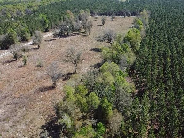 36-7S-16-04351-031, FORT WHITE, FL 32038