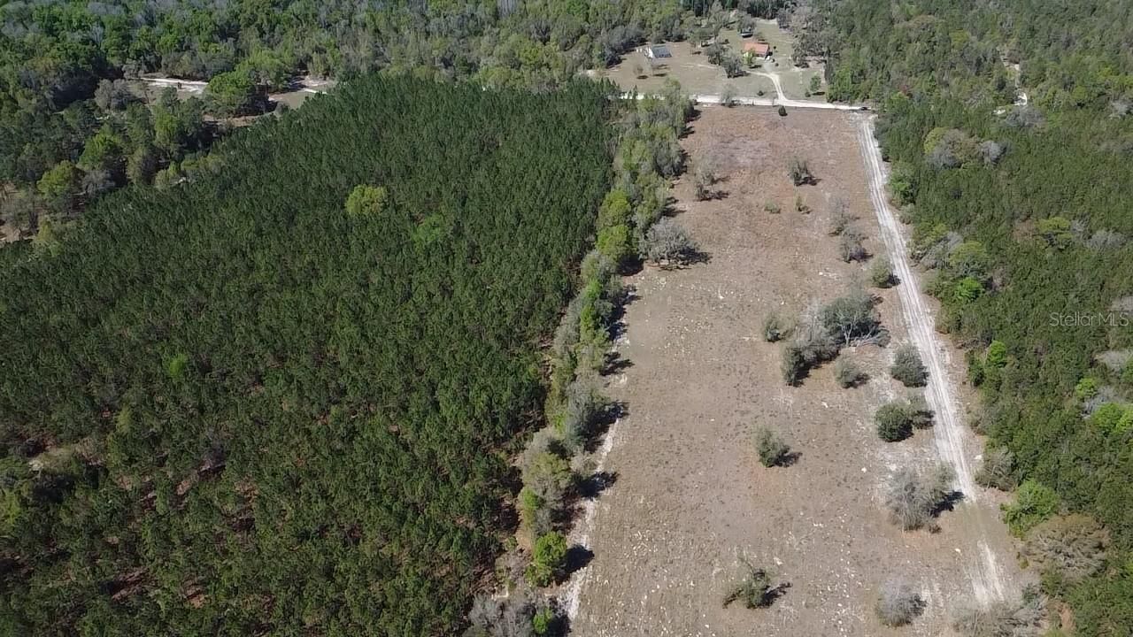 000 SW Langelier, Fort White, FL 32038 Photo