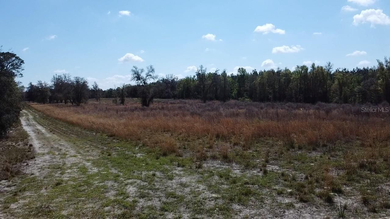 000 SW Langelier, Fort White, FL 32038 Photo