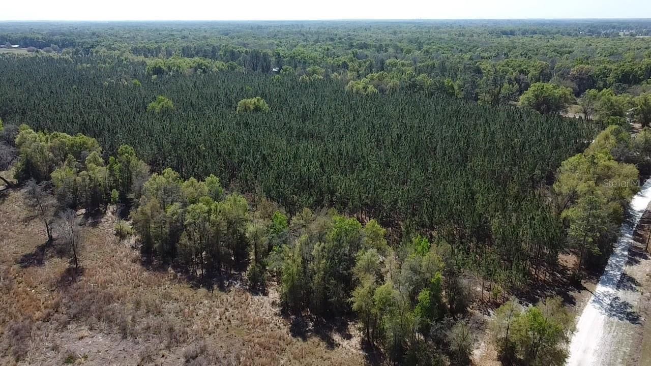 000 SW Langelier, Fort White, FL 32038 Photo