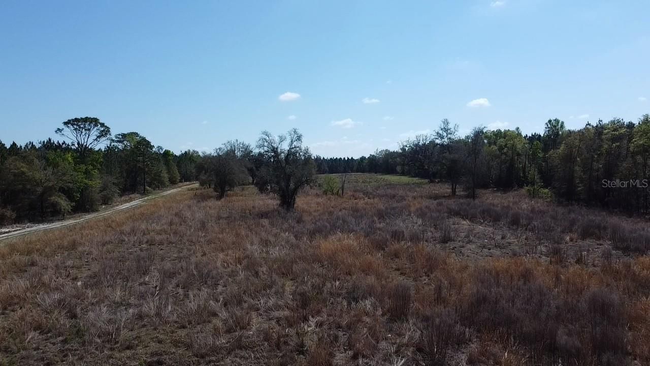 000 SW Langelier, Fort White, FL 32038 Photo