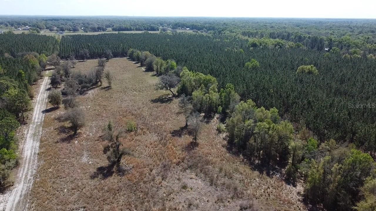 000 SW Langelier, Fort White, FL 32038 Photo