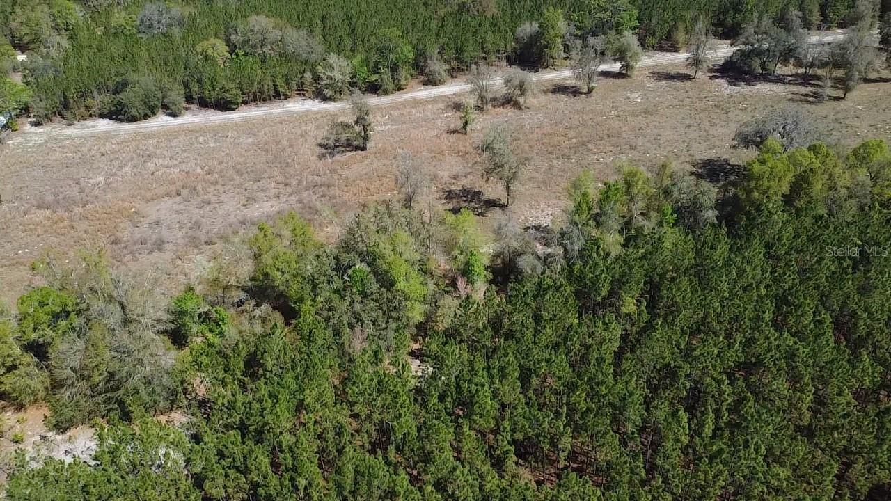 000 SW Langelier, Fort White, FL 32038 Photo