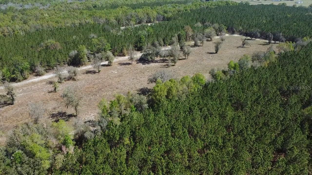 000 SW Langelier, Fort White, FL 32038 Photo