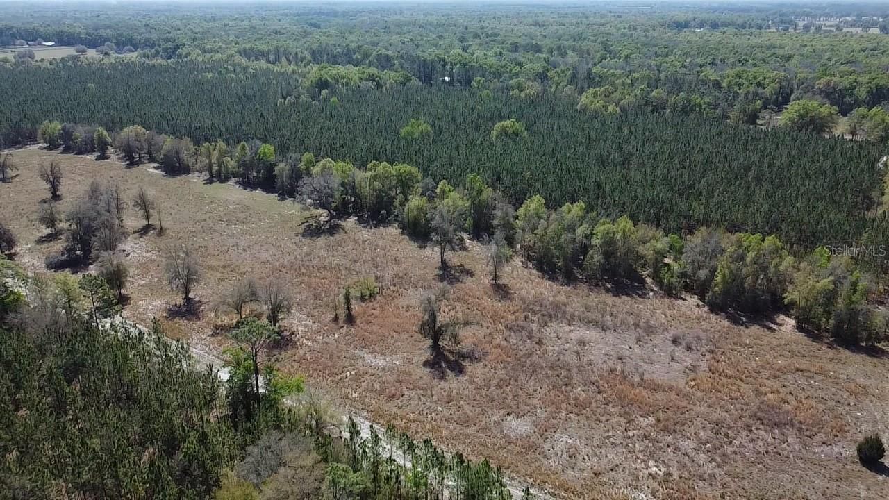 000 SW Langelier, Fort White, FL 32038 Photo