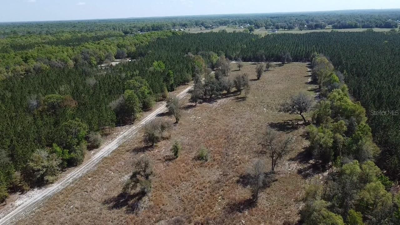 000 SW Langelier, Fort White, FL 32038 Photo