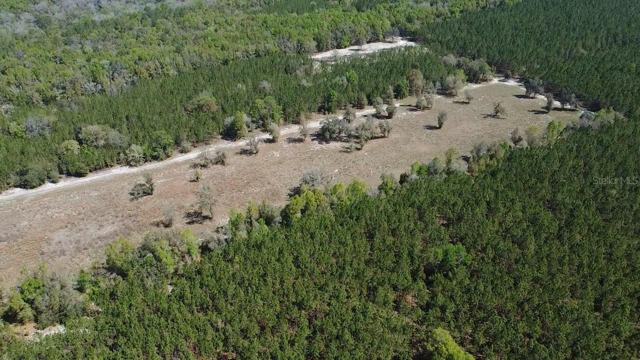 000 SW Langelier, Fort White, FL 32038 Photo