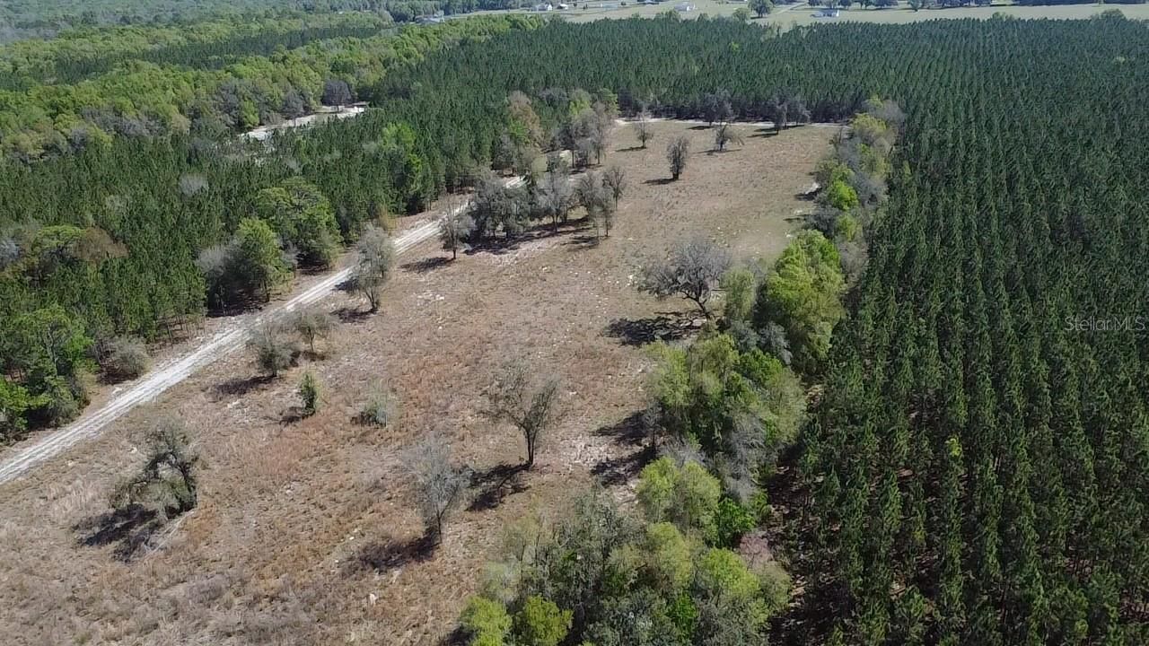000 SW Langelier, Fort White, FL 32038 Photo