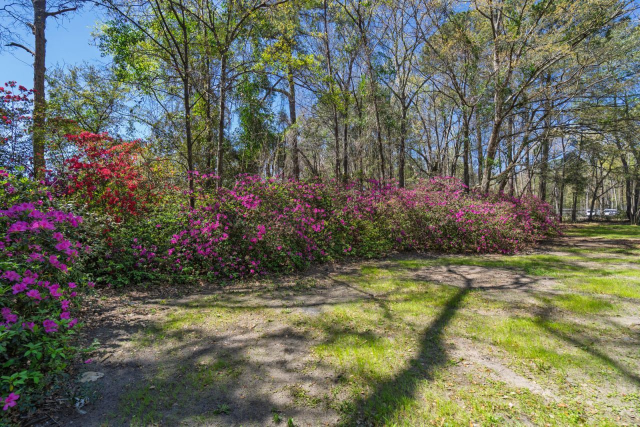 6047 Sc-165 Photo 27