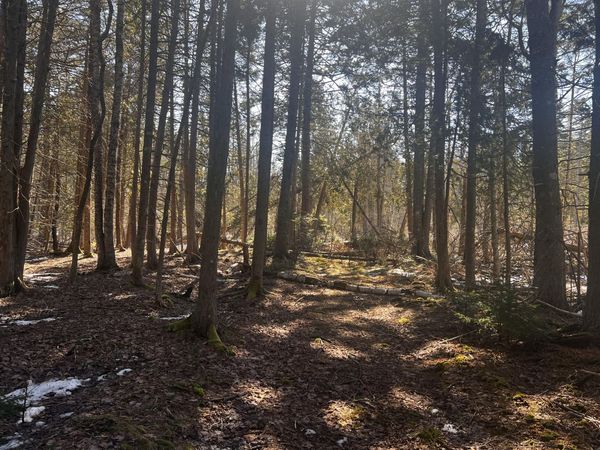 1148 Cape Rosier Road , Brooksville, ME 04617