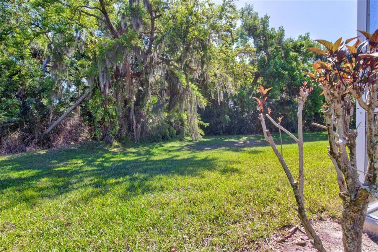 2822 89th Avenue E, Parrish, FL 34219 Photo