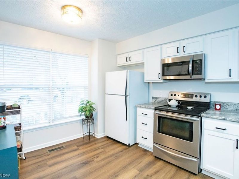 1127 Lake Meadow Lane , Brunswick, OH 44212 Photo 3