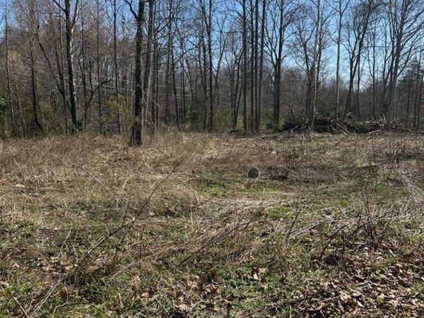 TBD 0 CRIMORA MINE RD, CRIMORA, VA 24431