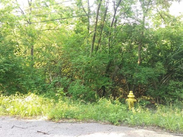 4658 Reemelin Avenue, Cincinnati, OH 45223