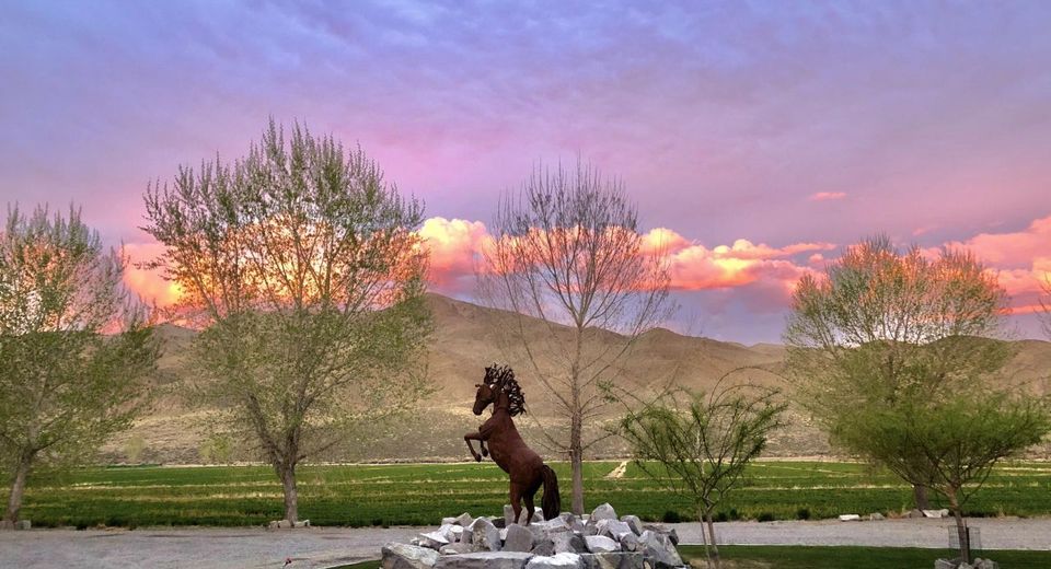 156 E Walker Road, Yerington, NV 89447 Photo