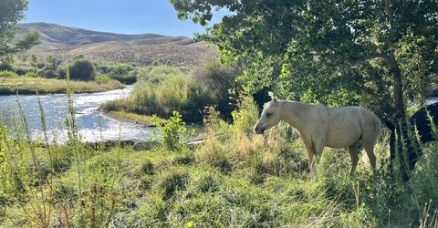 156 E Walker Road, Yerington, NV 89447 Photo