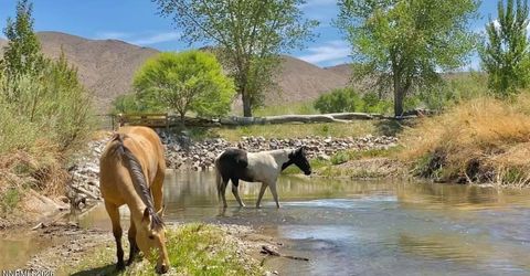 156 E Walker Road, Yerington, NV 89447 Photo