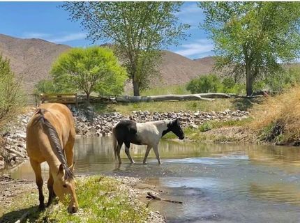 156 E Walker Road, Yerington, NV 89447 Photo