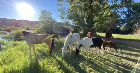 156 E Walker Road, Yerington, NV 89447 Photo