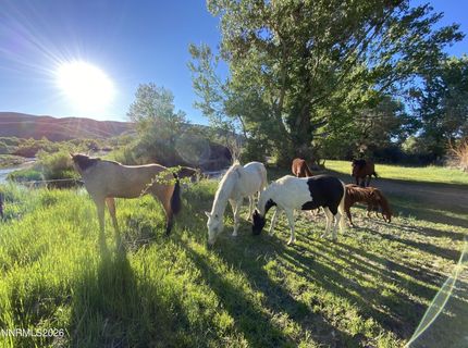 156 E Walker Road, Yerington, NV 89447 Photo