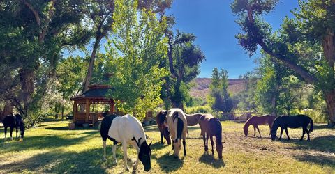 156 E Walker Road, Yerington, NV 89447 Photo