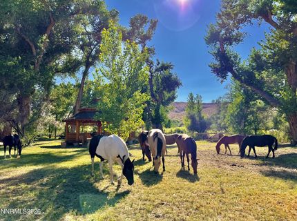 156 E Walker Road, Yerington, NV 89447 Photo