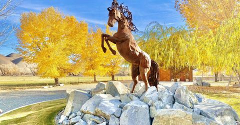 156 E Walker Road, Yerington, NV 89447 Photo