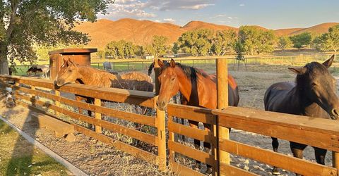 156 E Walker Road, Yerington, NV 89447 Photo