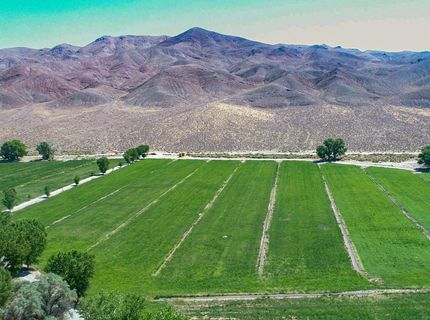 156 E Walker Road, Yerington, NV 89447 Photo