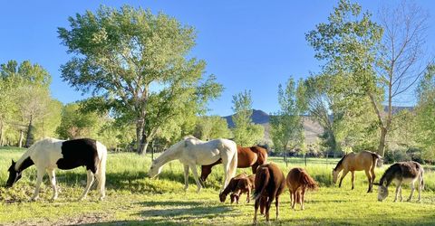 156 E Walker Road, Yerington, NV 89447 Photo