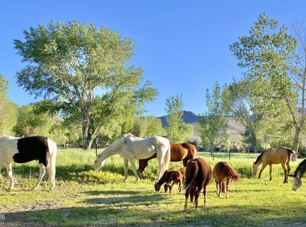 156 E Walker Road, Yerington, NV 89447 Photo