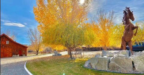 156 E Walker Road, Yerington, NV 89447 Photo