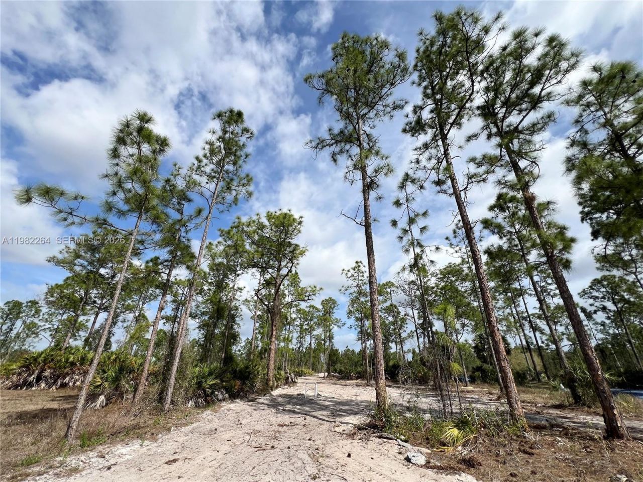 3231 41st Ave NE , Naples, FL 34120 Photo