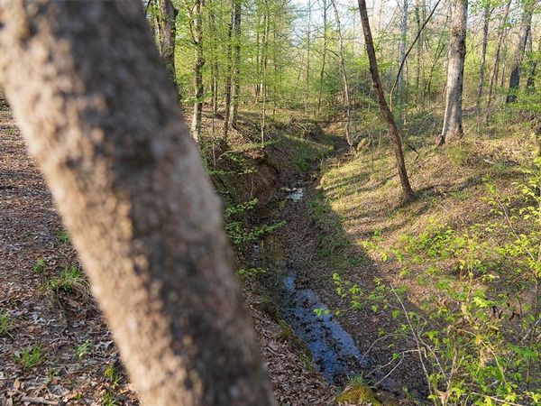 00 Off of State Highway 294 , Alto, TX 75925