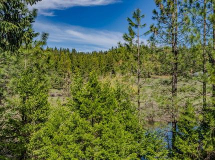 26041 Golf Links Dr, Pioneer, CA 95666 Photo