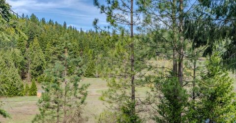 26041 Golf Links Dr, Pioneer, CA 95666 Photo