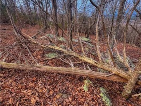 2243 Sierra Trace Road , Denton, NC 27239