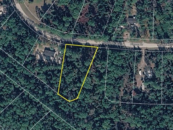 219 PLUMOSA DRIVE , GEORGETOWN, FL 32139