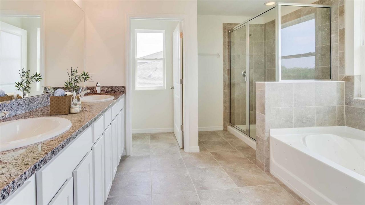 17688 Acron Drop Road, Land O Lakes, FL 34638 Photo