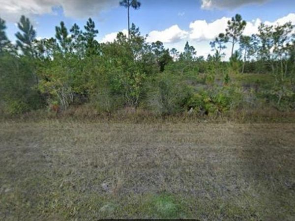 1008 CALLIANDRA DRIVE , INDIAN LAKE ESTATES, FL 33855