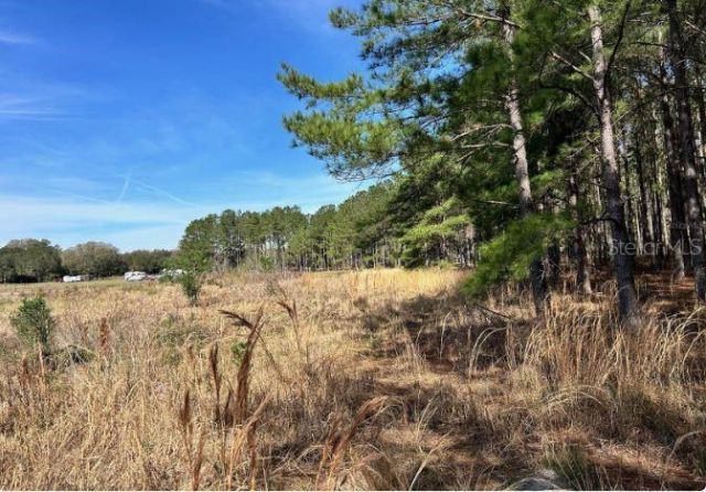 4477 E C 48 , Center Hill, FL 33514 Photo