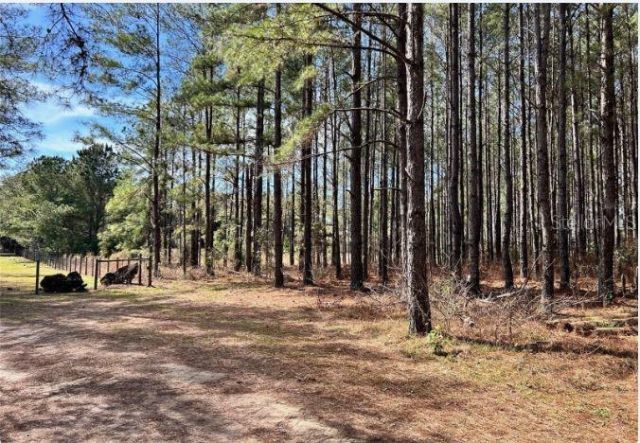 4477 E C 48 , Center Hill, FL 33514 Photo