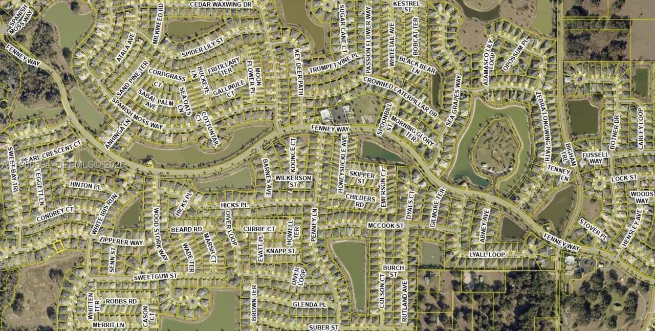 0 SE 29th Blvd., Sumterville, FL 33585 Photo