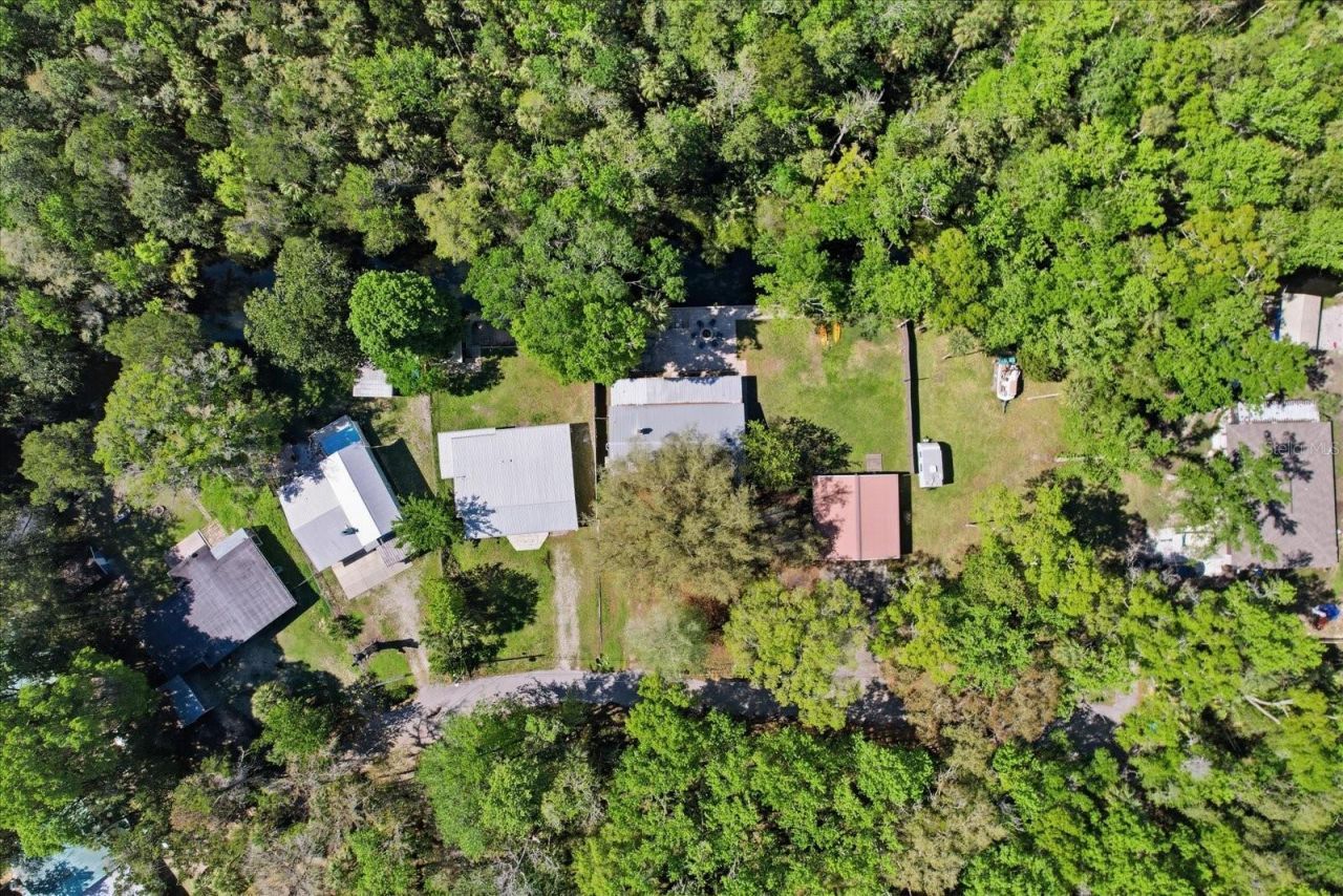 8952 W White Dogwood Drive , Homosassa, FL 34448 Photo